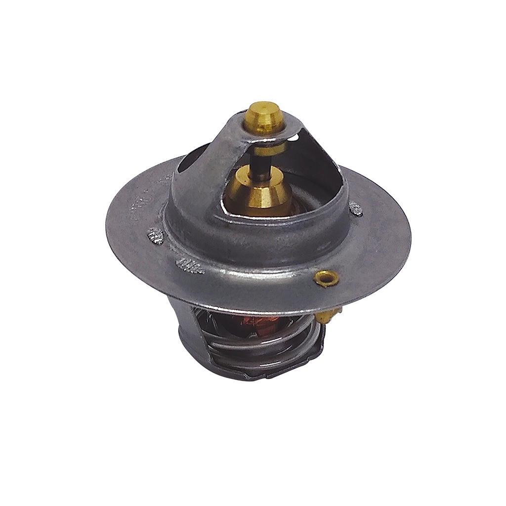 [K333.82 KG] TERMOSTATO