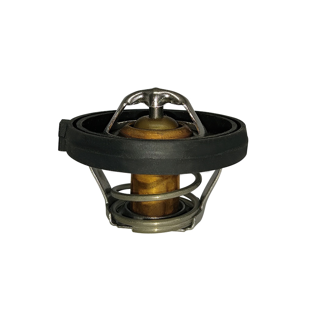 [K425.91 KG] TERMOSTATO