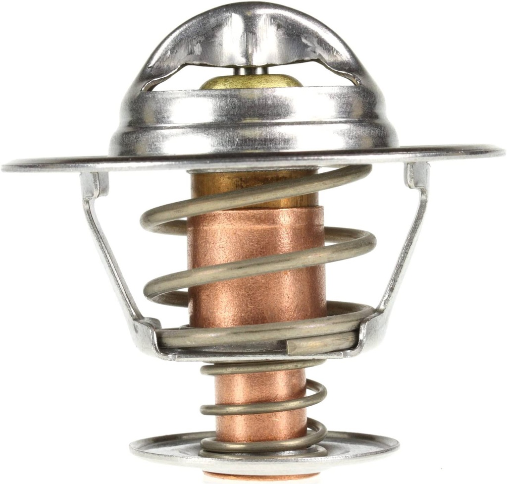 [K233.82+ KG] TERMOSTATO