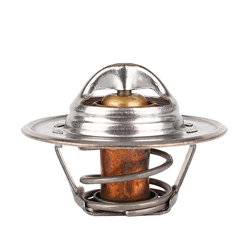 [K200.82 KG] TERMOSTATO