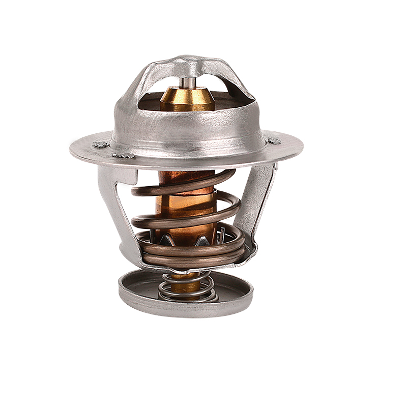 [K2014.82 KG] TERMOSTATO