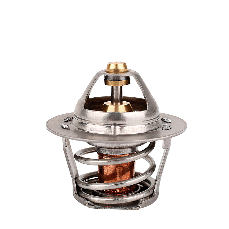 [K203.82 KG] TERMOSTATO