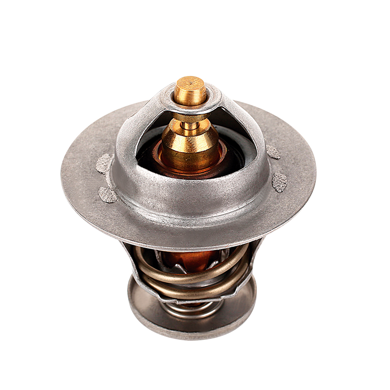 [K2042.77 KG] TERMOSTATO