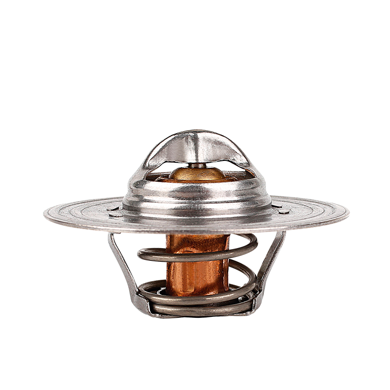 [K206.82 KG] TERMOSTATO