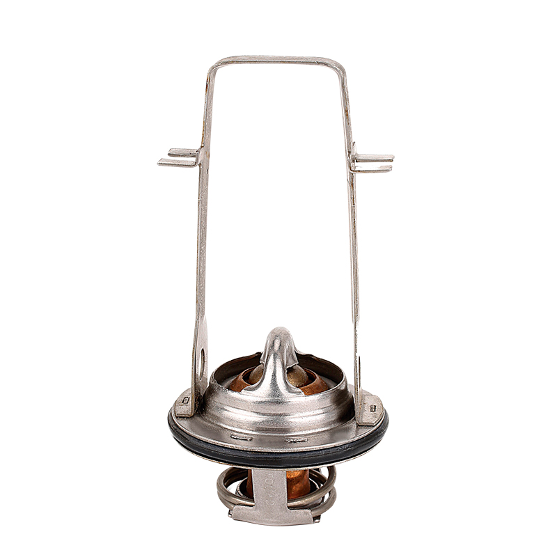 [K211.71 KG] TERMOSTATO