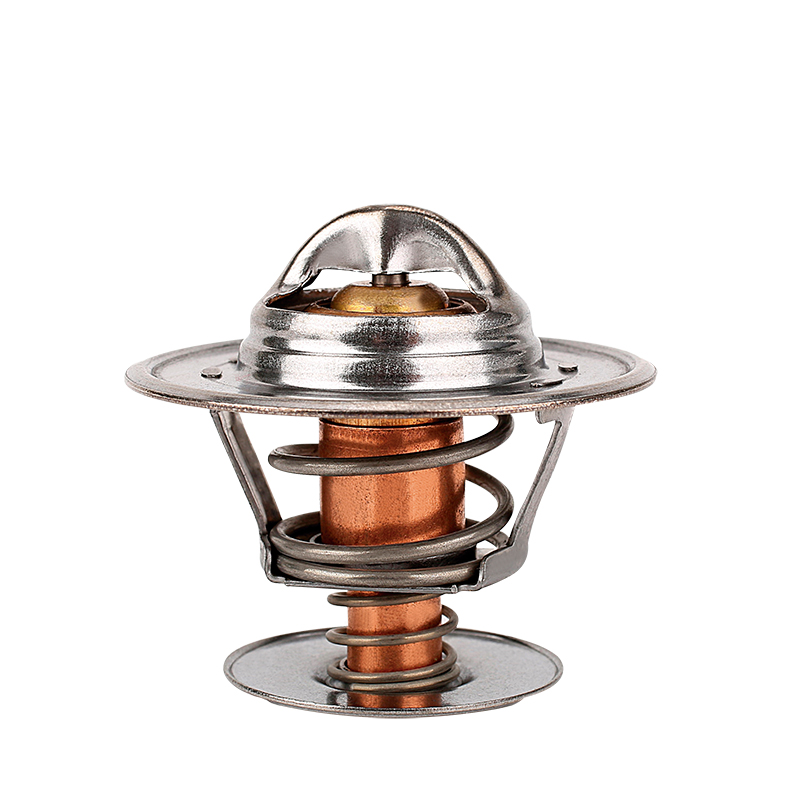 [K234.71 KG] TERMOSTATO