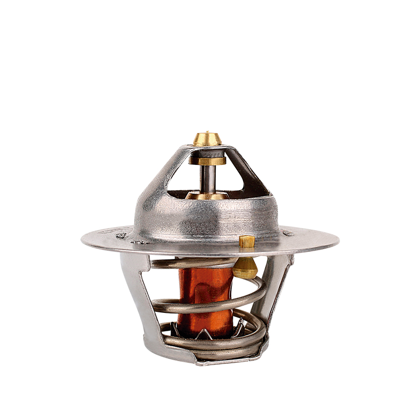 [K241.78 KG] TERMOSTATO