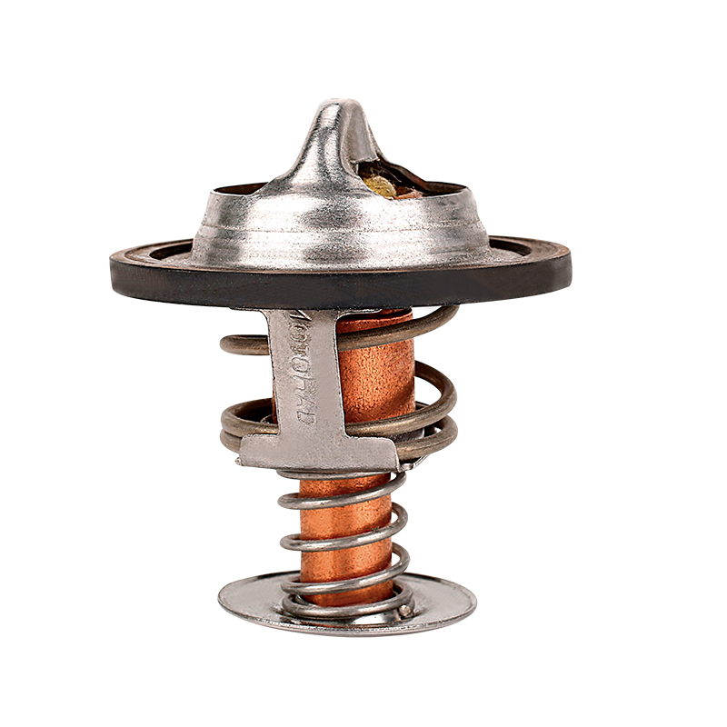 [K243.82 KG] TERMOSTATO