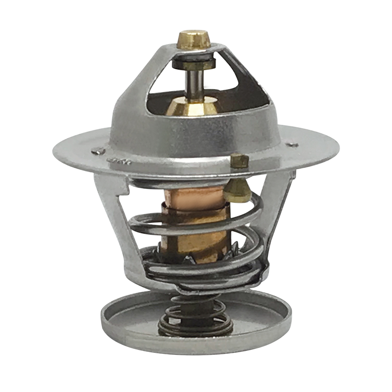 [K270.82 KG] TERMOSTATO