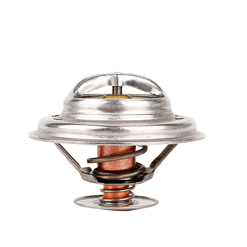 [K274.92 KG] TERMOSTATO