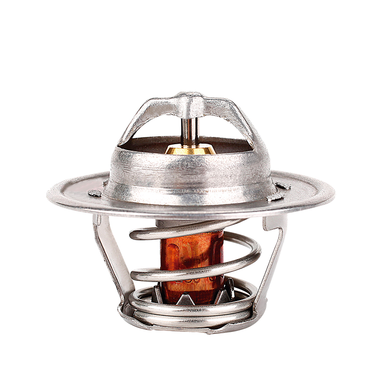 [K300.82 KG] TERMOSTATO