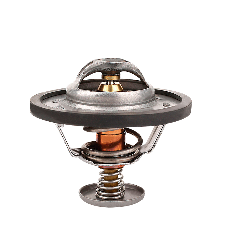 [K301.82 KG] TERMOSTATO