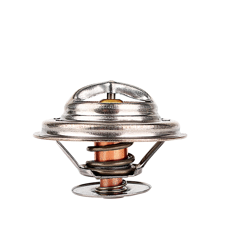 [K304.76 KG] TERMOSTATO