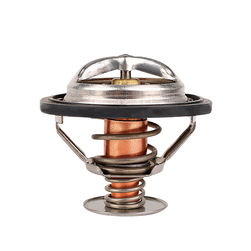 [K307.82 KG] TERMOSTATO