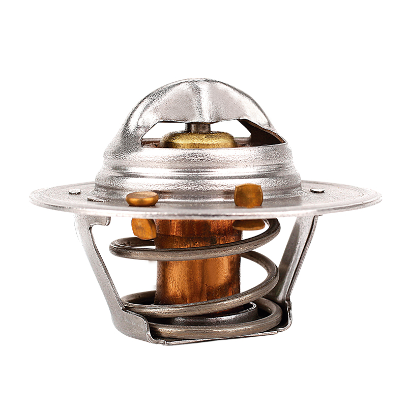 [K323.88 KG] TERMOSTATO