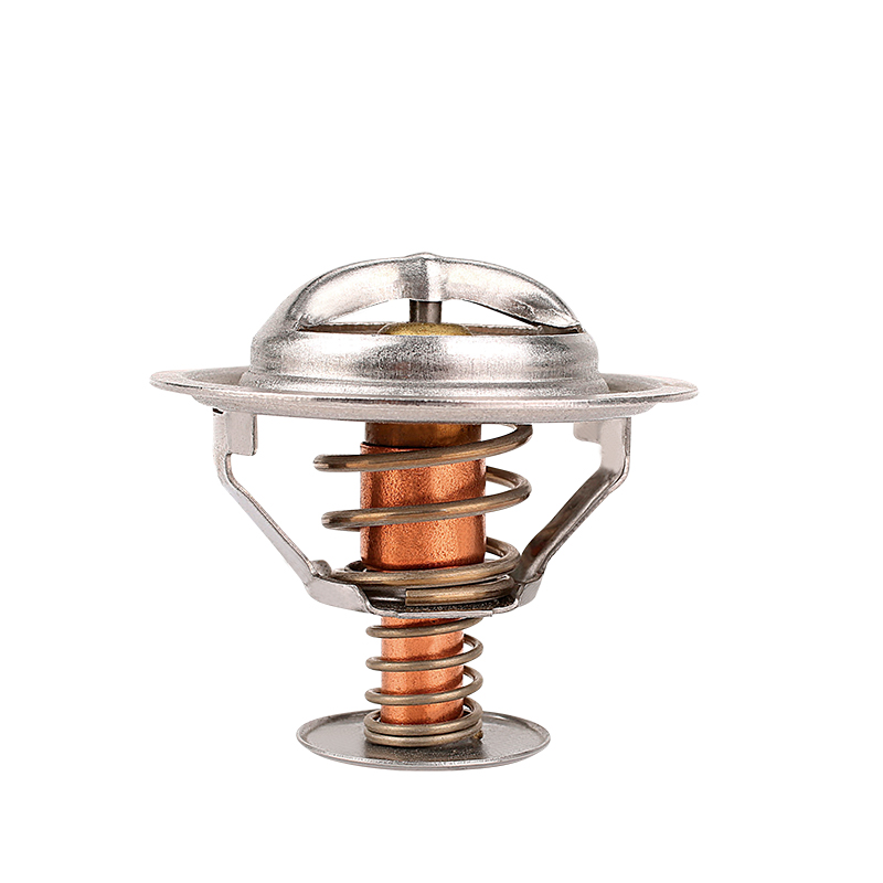 [K332.82 KG] TERMOSTATO