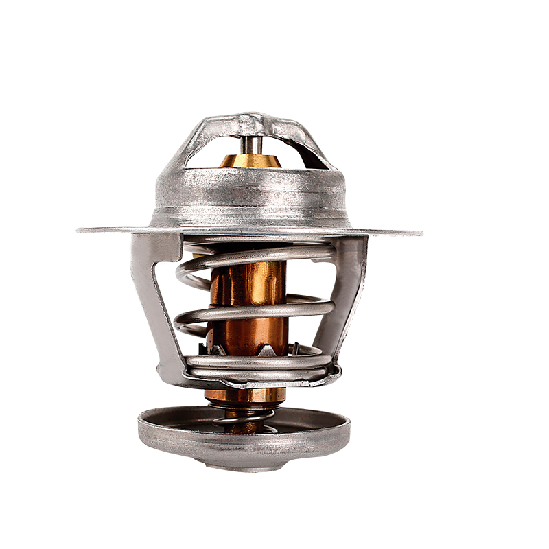 [K335.82 KG] TERMOSTATO