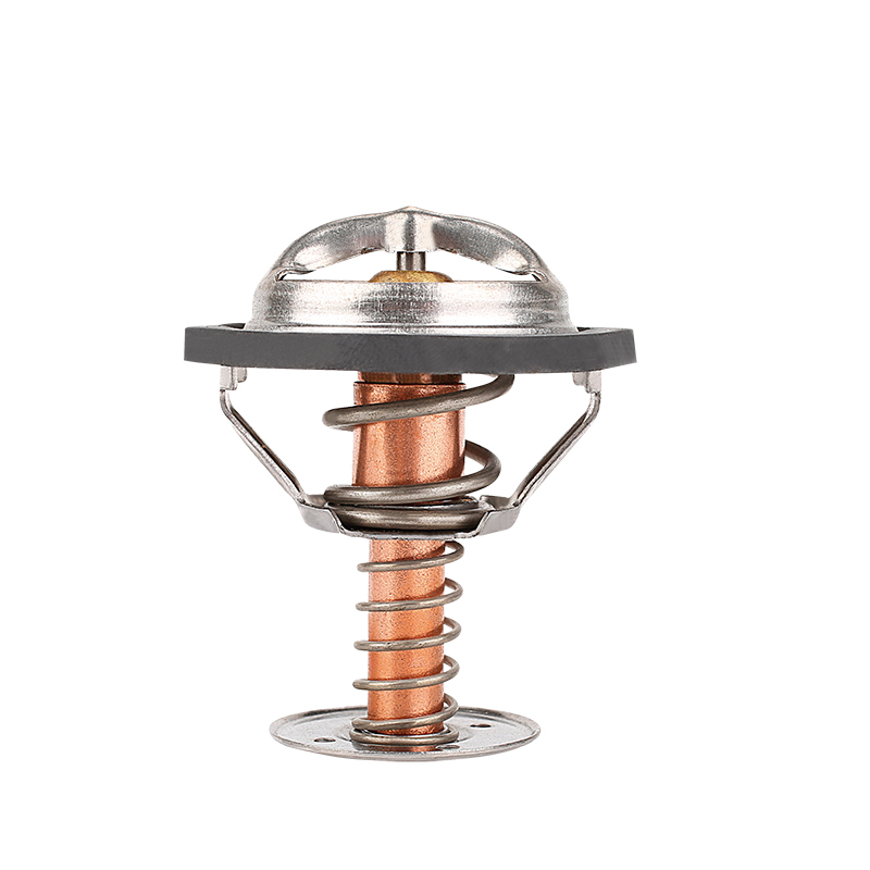 [K339.82 KG] TERMOSTATO