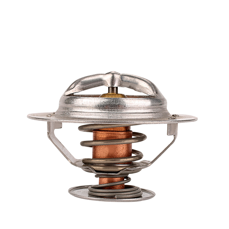 [K383.96 KG] TERMOSTATO