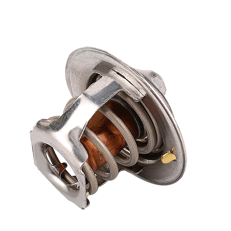 [K419.91 KG] TERMOSTATO