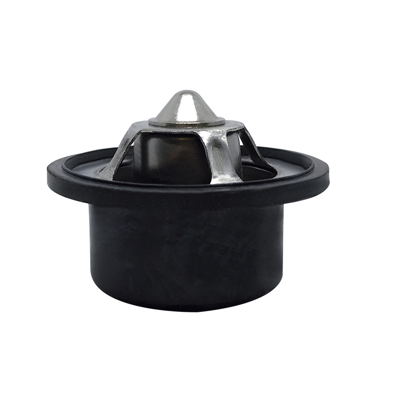 [K423.91 KG] TERMOSTATO