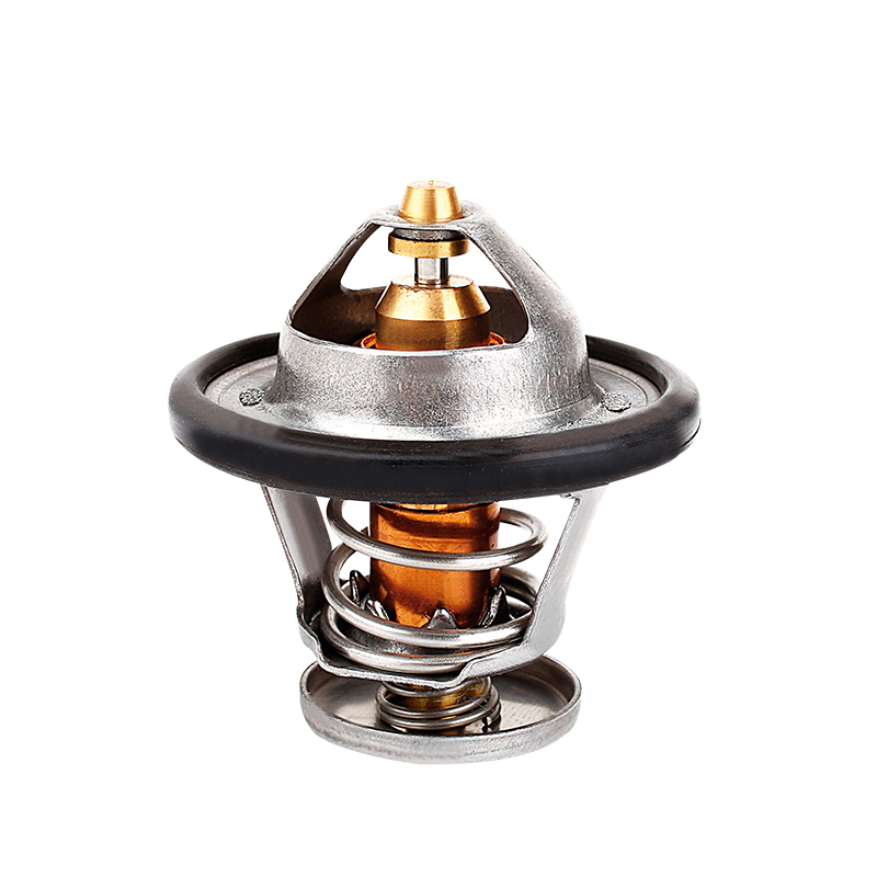 [K441.76 KG] TERMOSTATO