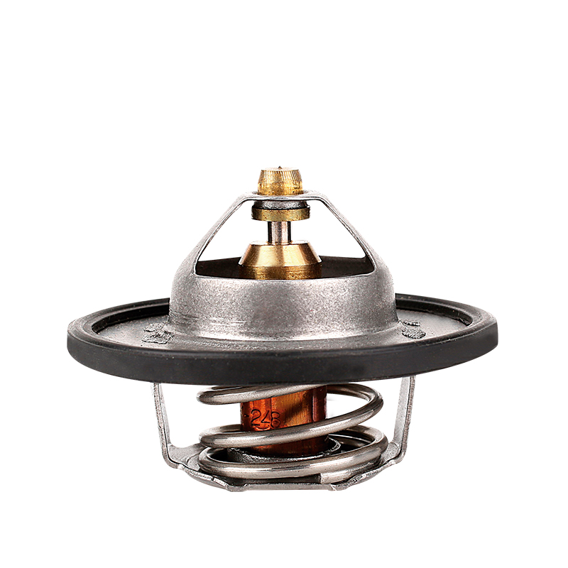 [K449.88 KG] TERMOSTATO