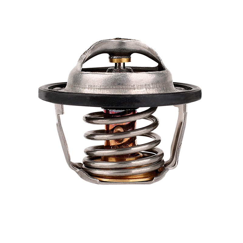 [K461.82 KG] TERMOSTATO