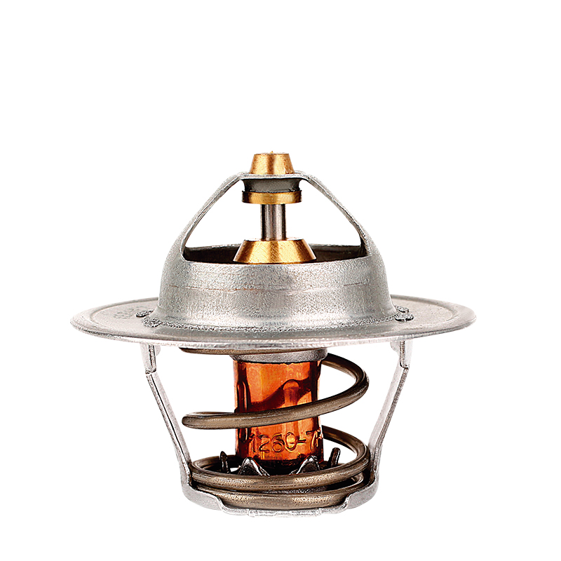 [K475.85 KG] TERMOSTATO