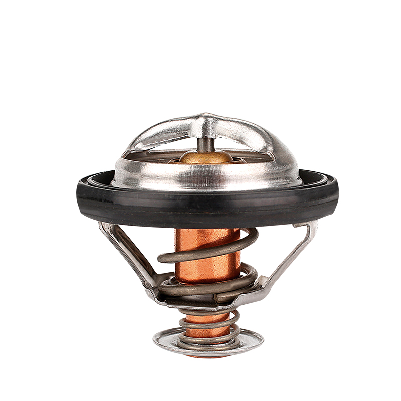 [K483.91 KG] TERMOSTATO