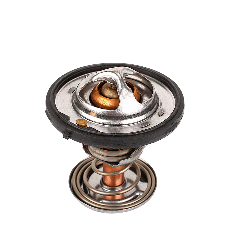 [K524.87 KG] TERMOSTATO