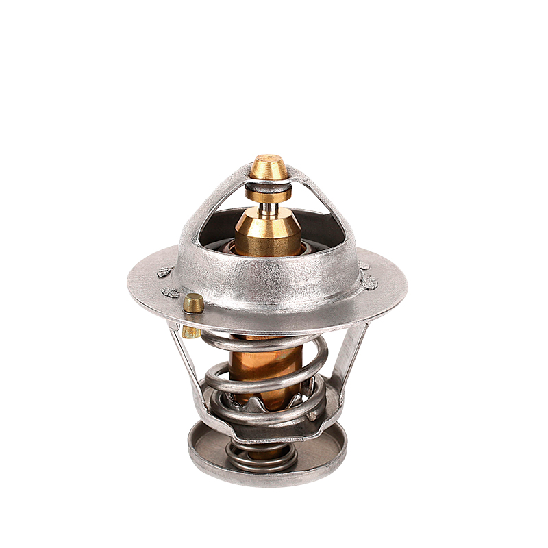 [K543.76 KG] TERMOSTATO