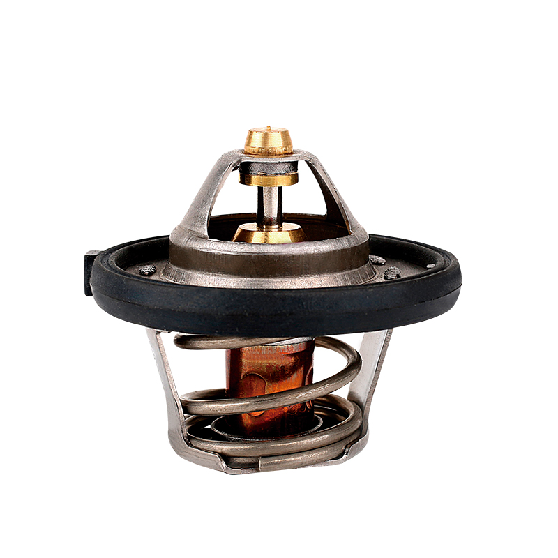 [K657.95 KG] TERMOSTATO