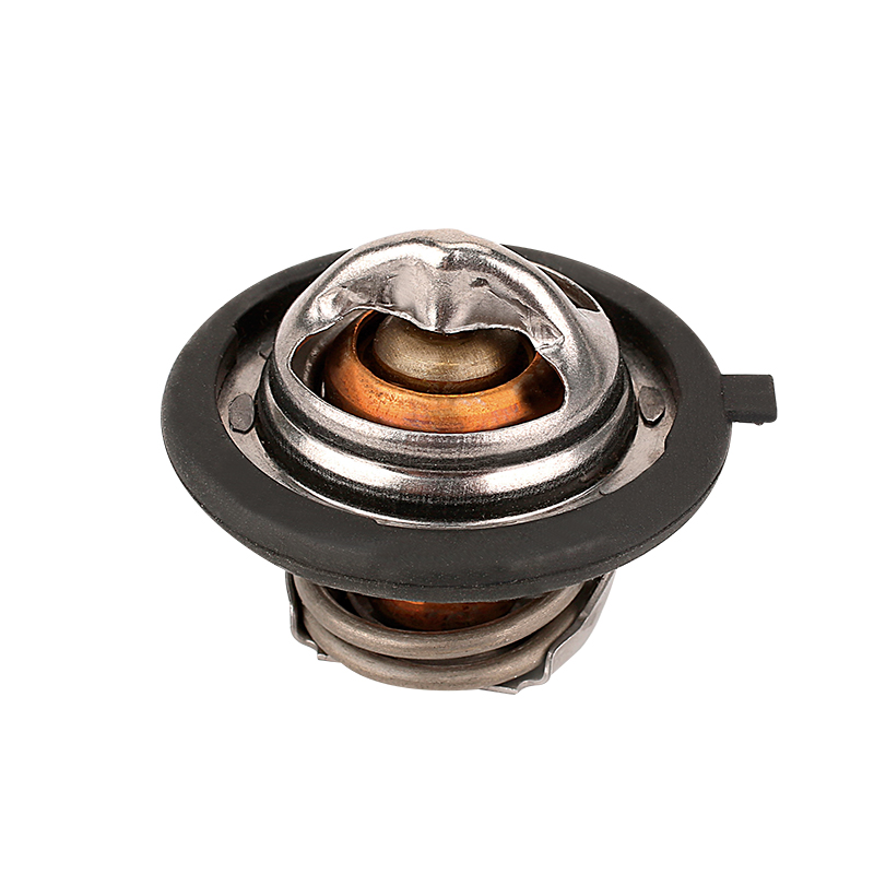 [K699.82 KG] TERMOSTATO