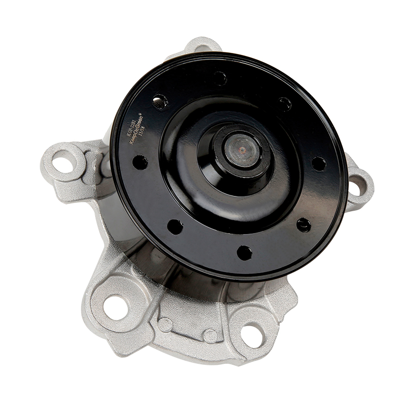 [KGP-2281 KG] BOMBA DE AGUA