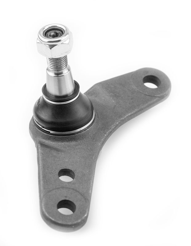 ROTULA INFERIOR IZQUIERDO