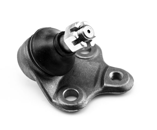 ROTULA INFERIOR