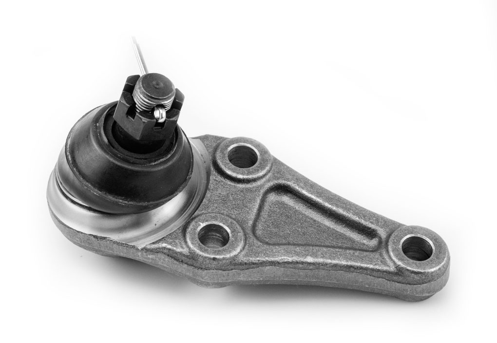 ROTULA INFERIOR