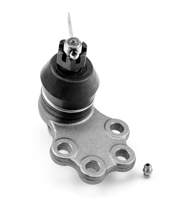 ROTULA INFERIOR