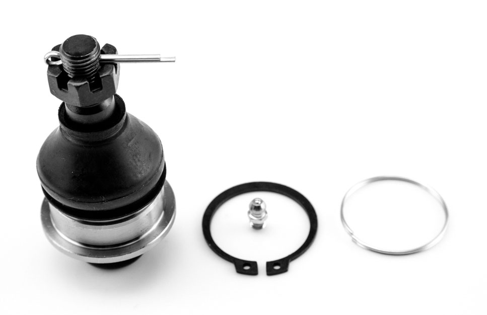 ROTULA INFERIOR
