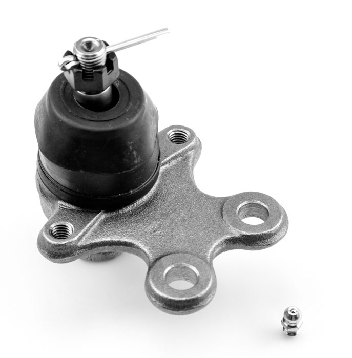 ROTULA INFERIOR DELGADA