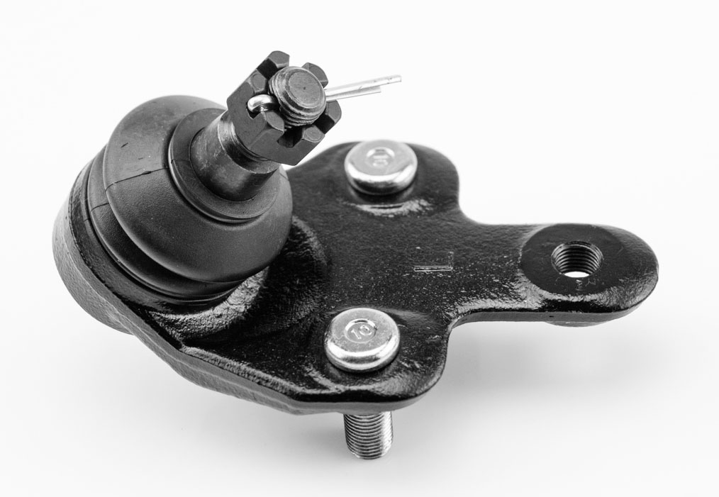 ROTULA INFERIOR IZQUIERDO