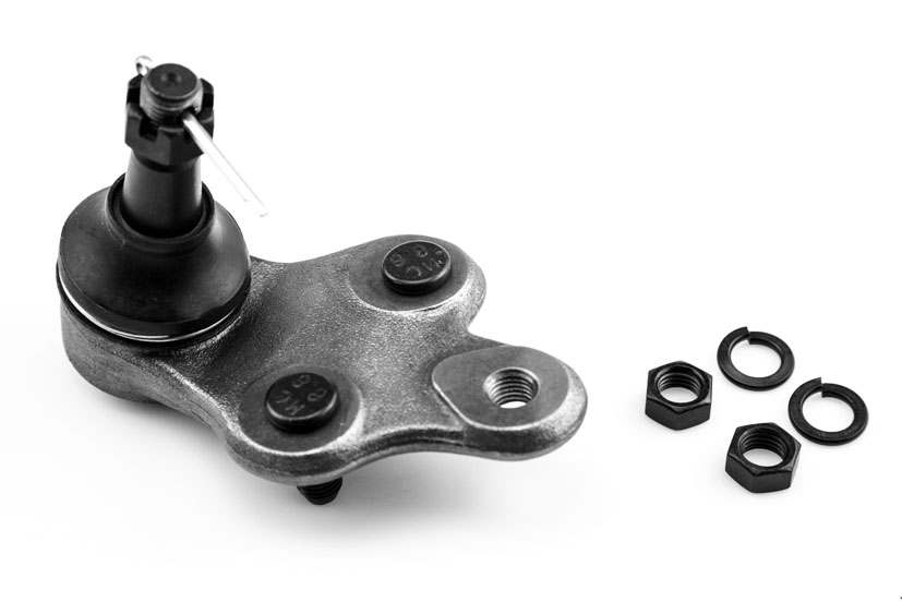 ROTULA INFERIOR IZQUIERDO