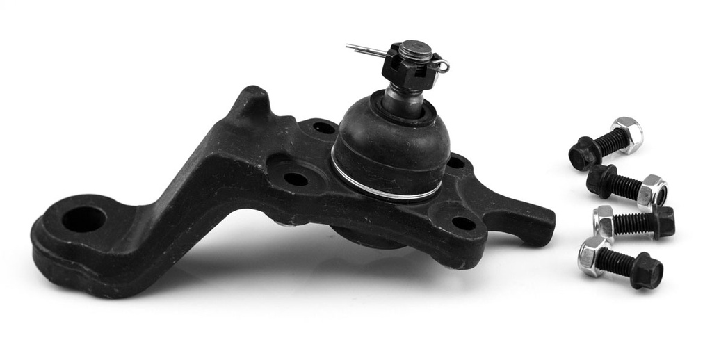 ROTULA INFERIOR IZQUIERDO