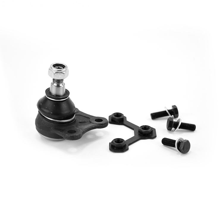 ROTULA INFERIOR IZQUIERDO