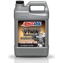 20W50 Synthetic Motorcycle Oil