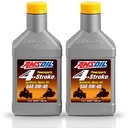 Kit De 2 Aceites 0w40 4 Tiempos Amsoil Sintetico Premium Atv
