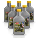 Kit 6 Litros 10W-50 Synthetic Metric Motorcycle Oil AMSOIL