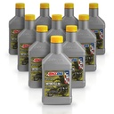Kit 10 Litros 10W-50 Synthetic Metric Motorcycle Oil AMSOIL