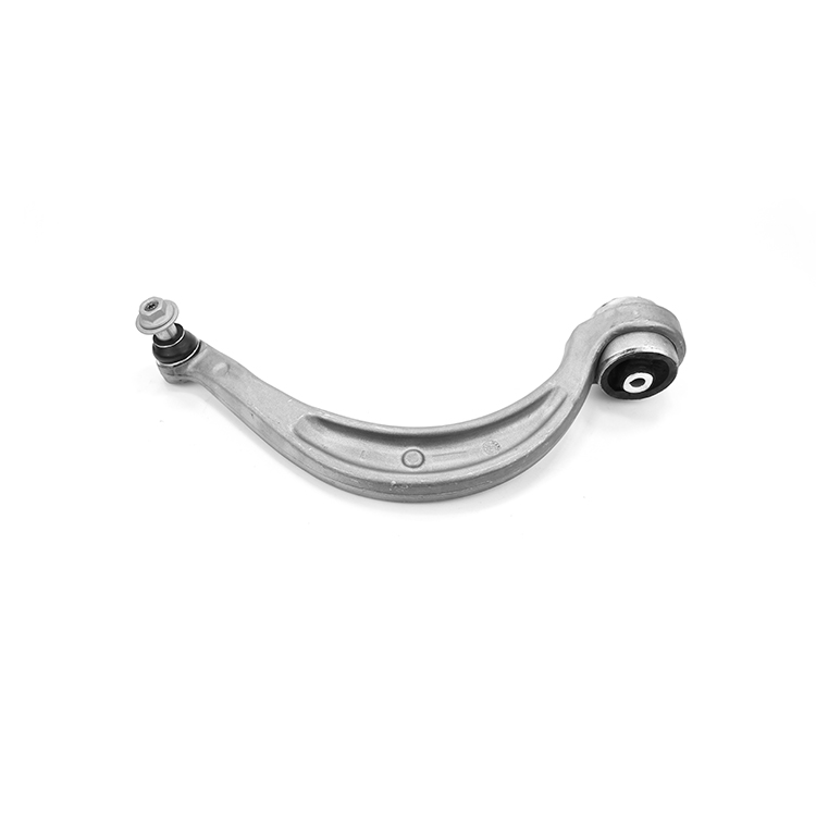 BRAZO DELANTERO INFERIOR POSTERIOR IZQUIERDO